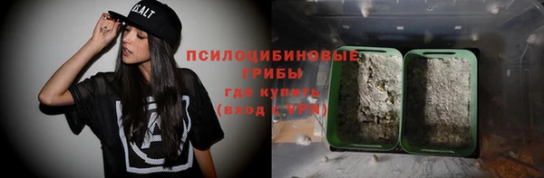 шишки Алзамай