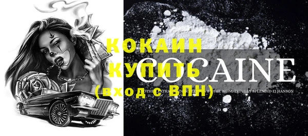 PSILOCYBIN Рославль