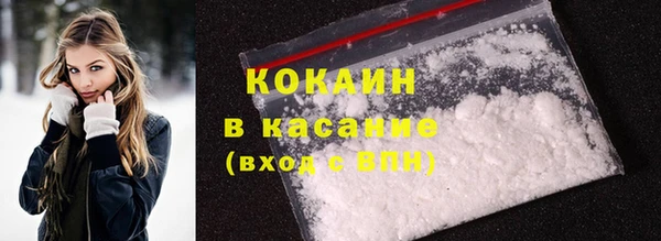 шишки Алзамай