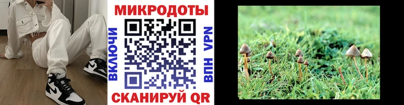 Галлюциногенные грибы Cubensis  Игарка 